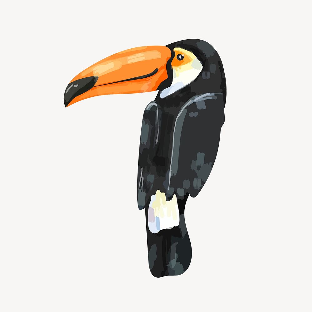 Toucan sticker, watercolor bird illustration psd