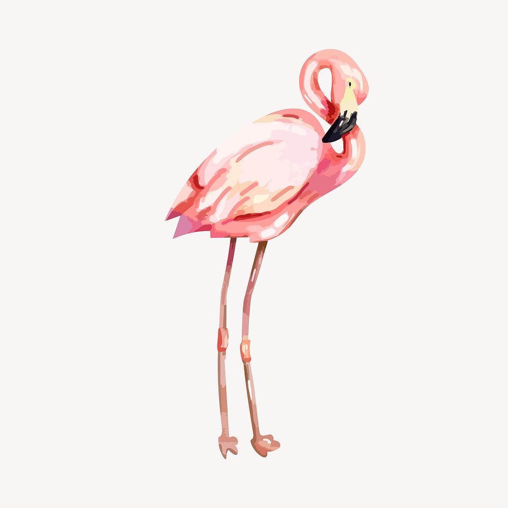 Flamingo sticker, watercolor bird illustration vector
