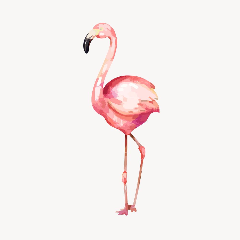 Flamingo bird clip art, watercolor wildlife animal illustration