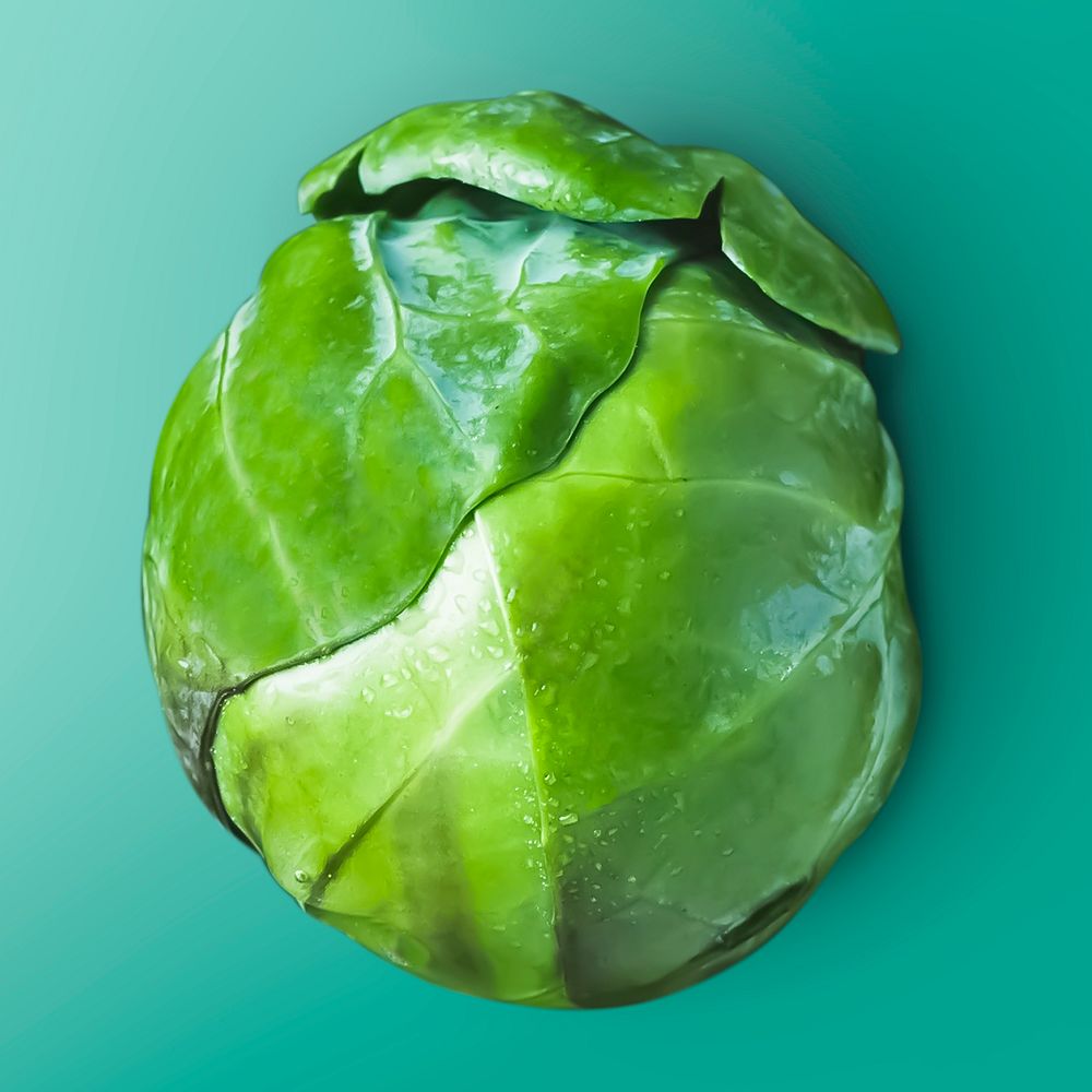 Brussels sprout on turquoise background, food photography