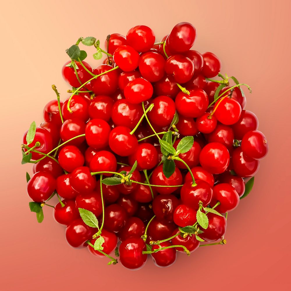 Red cherries on gradient background, food photography, flat lay style