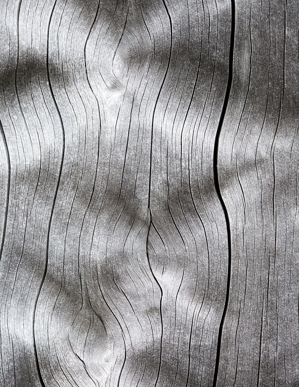 Drift wood texture close up background, abstract design