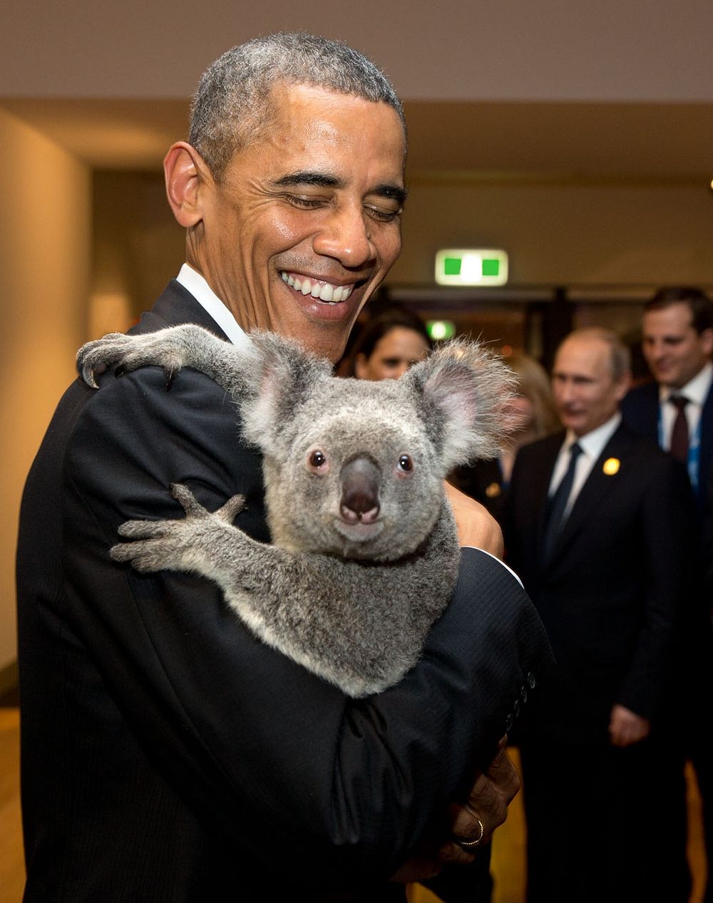 "The President holds a koala backstage prior to the G20 Welcome to Country Ceremony at the Brisbane Convention and…