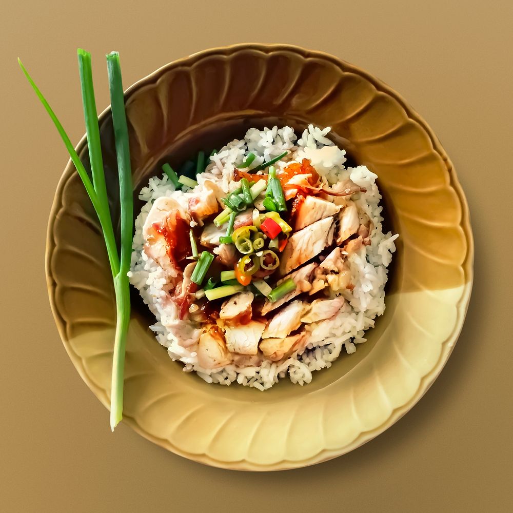 Chicken with rice on brown background, food photography
