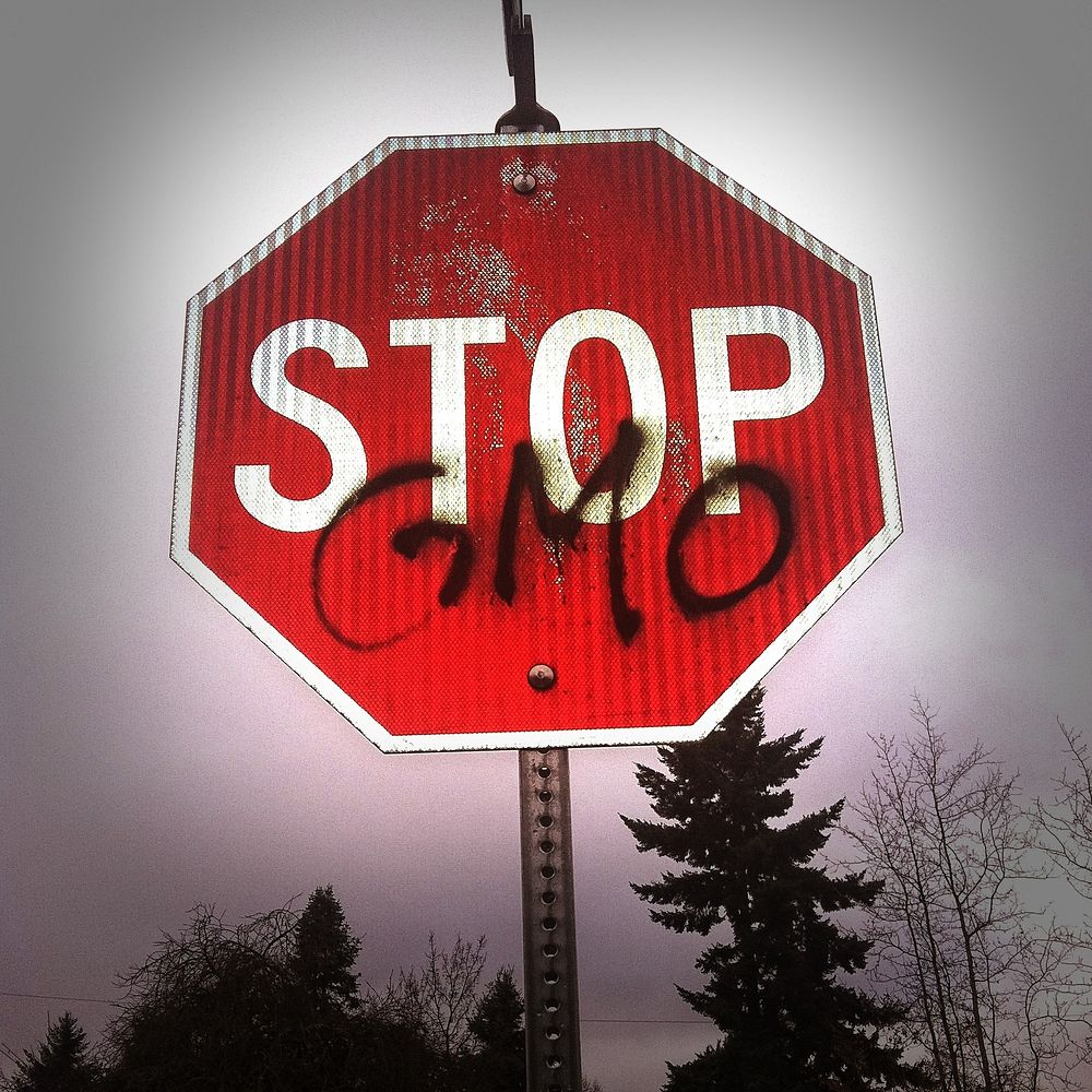 Stop GMO sign. Free public domain CC0 photo.