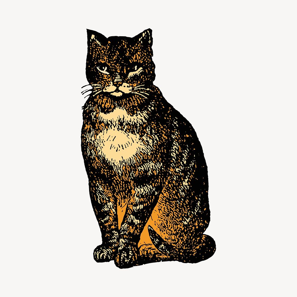 Cat, pet collage element, vintage animal illustration vector