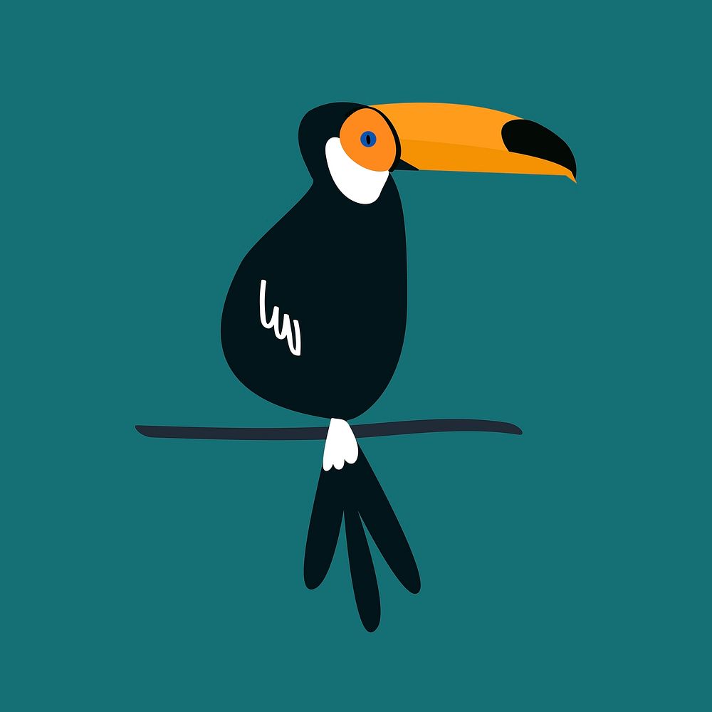 Toucan bird aesthetic illustration 