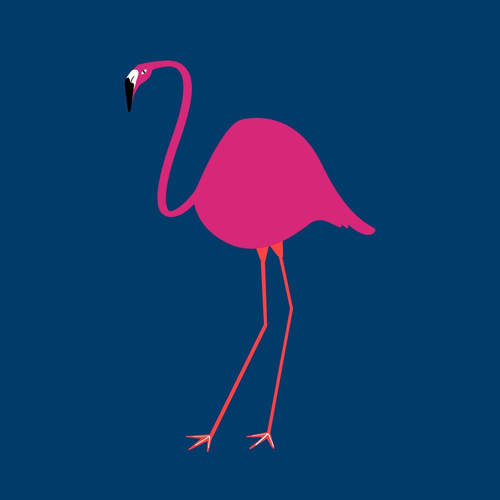 Pink flamingo bird aesthetic illustration