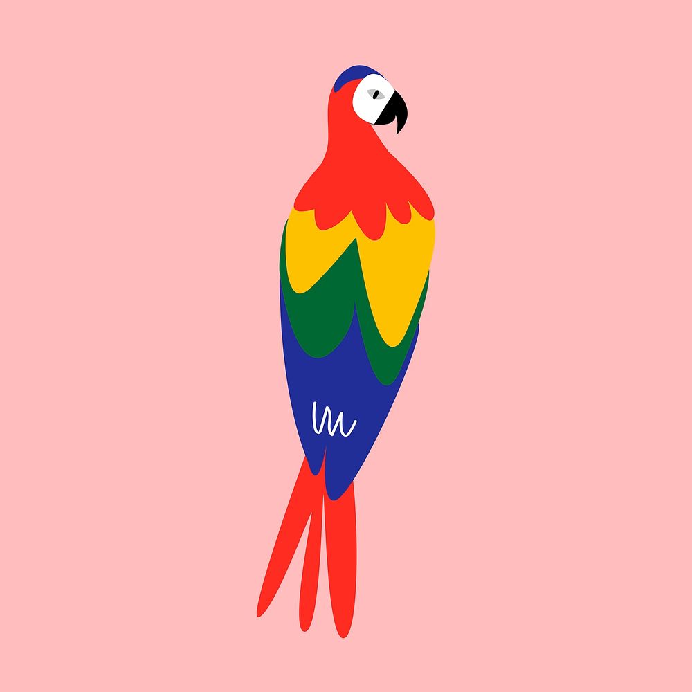 Macaw parrot bird illustration vector 