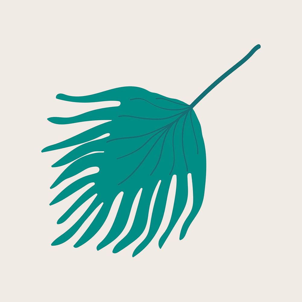 Fan palm leaf illustration psd 