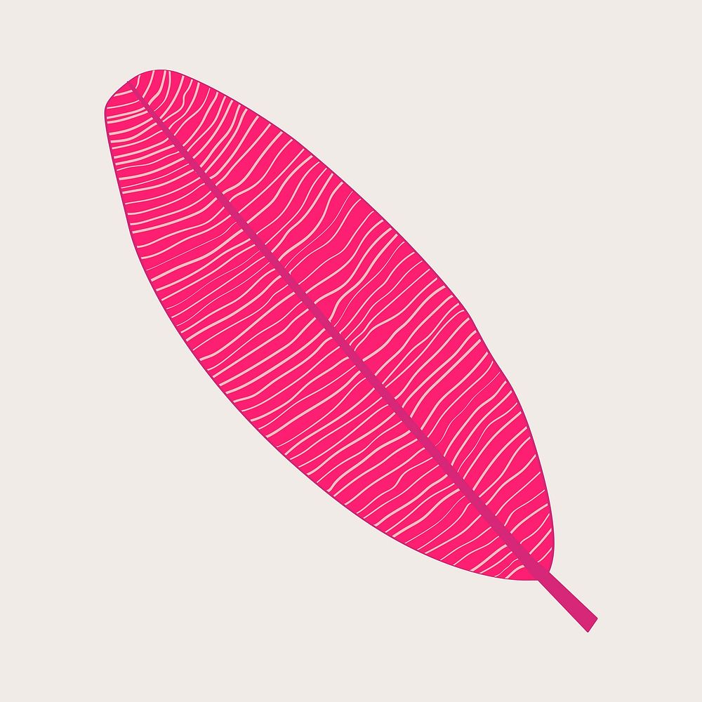 Pink banana leaf aesthetic illustration