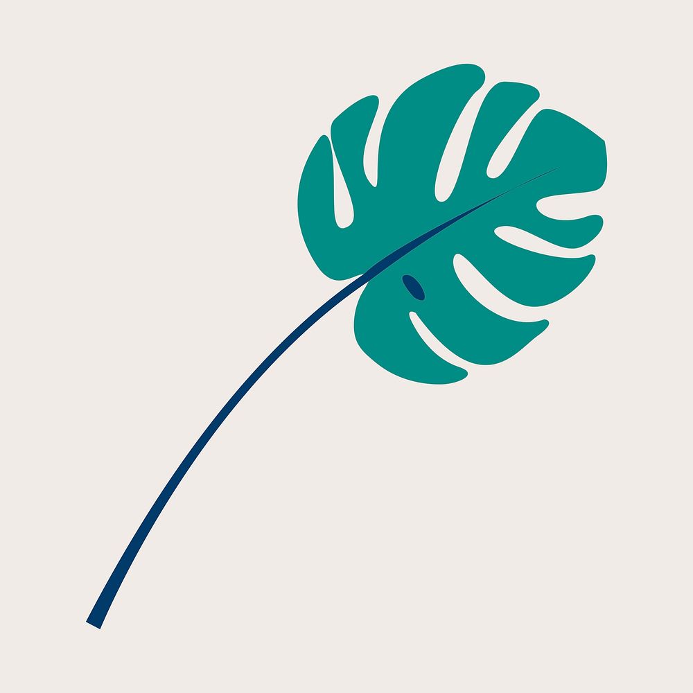 Monstera leaf illustration vector