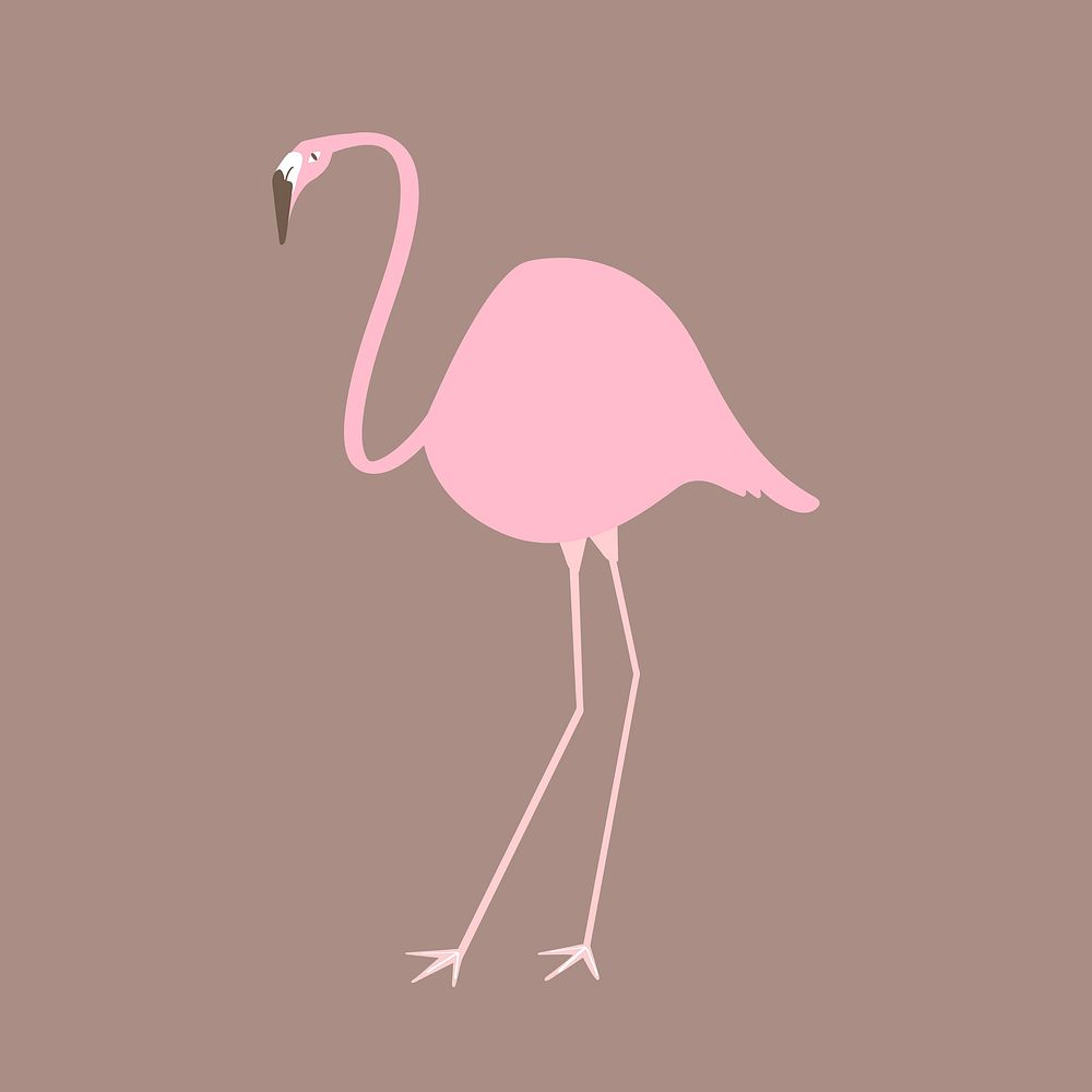 Pink flamingo illustration vector 