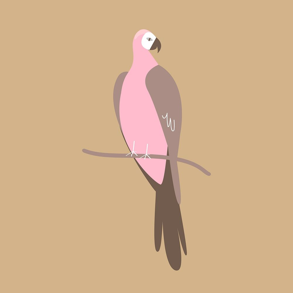 Pink parrot aesthetic illustration