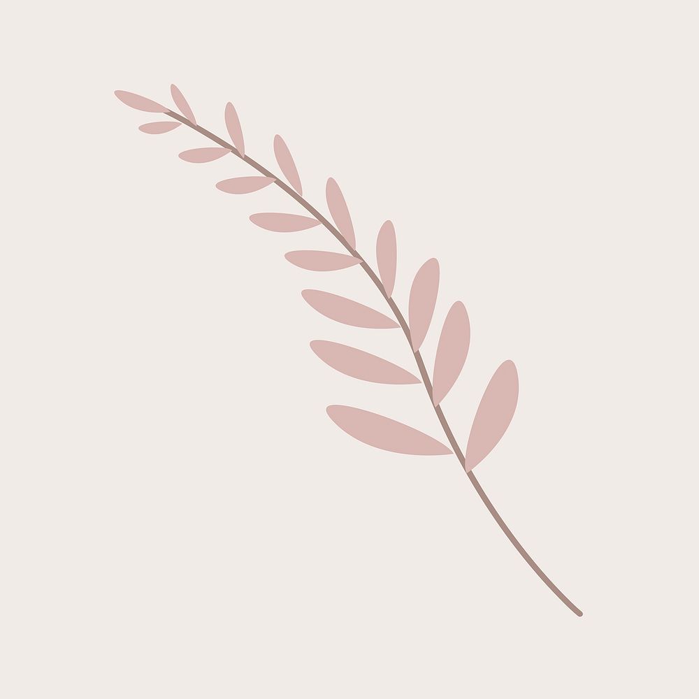 Pink acacia leaf aesthetic illustration
