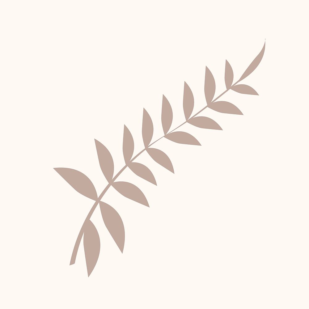 Pastel acacia leaf aesthetic illustration