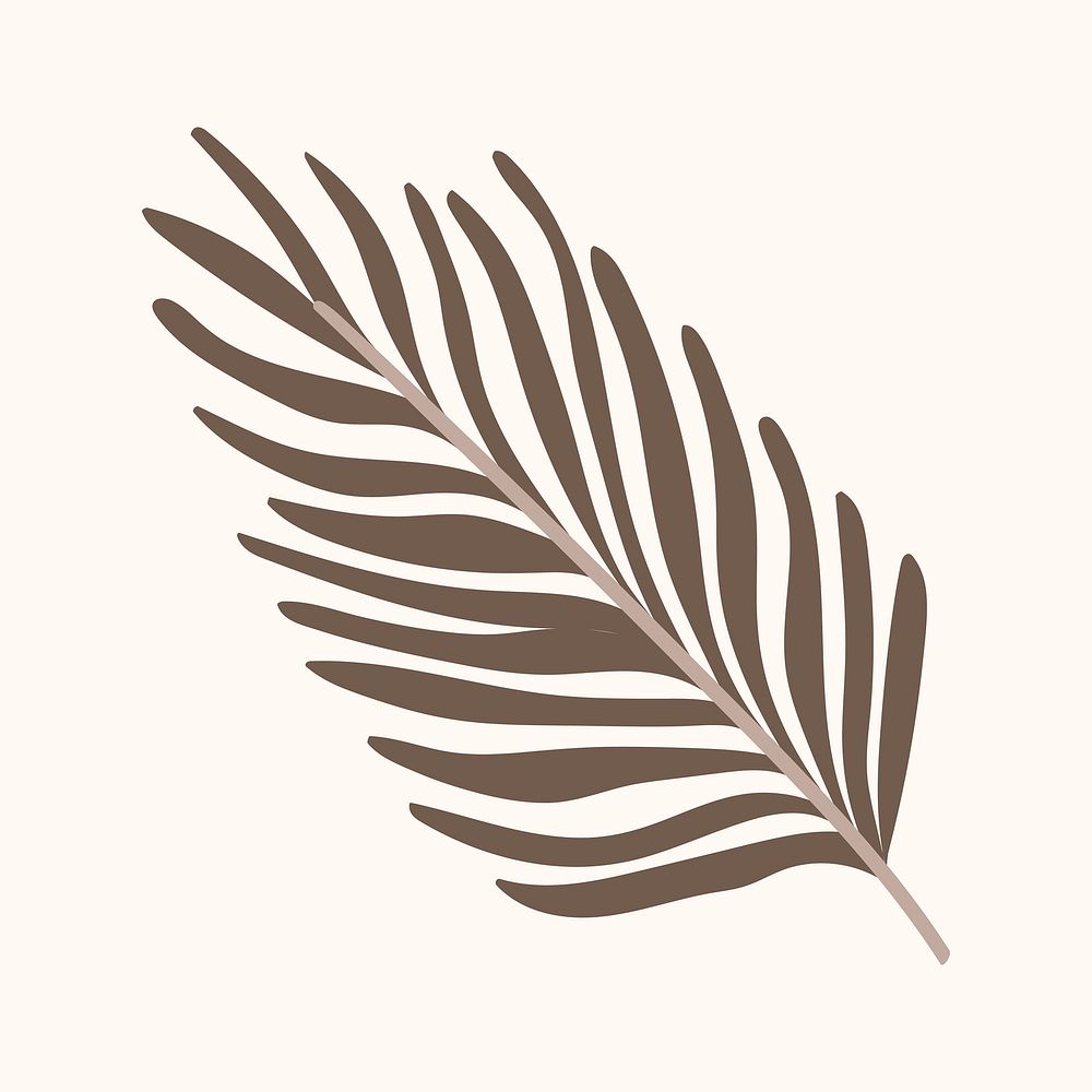 Areca palm leaf illustration 