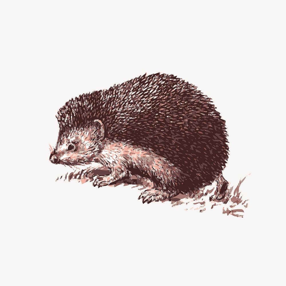 Hedgehog drawing, cute animal vector. Free public domain CC0 graphic