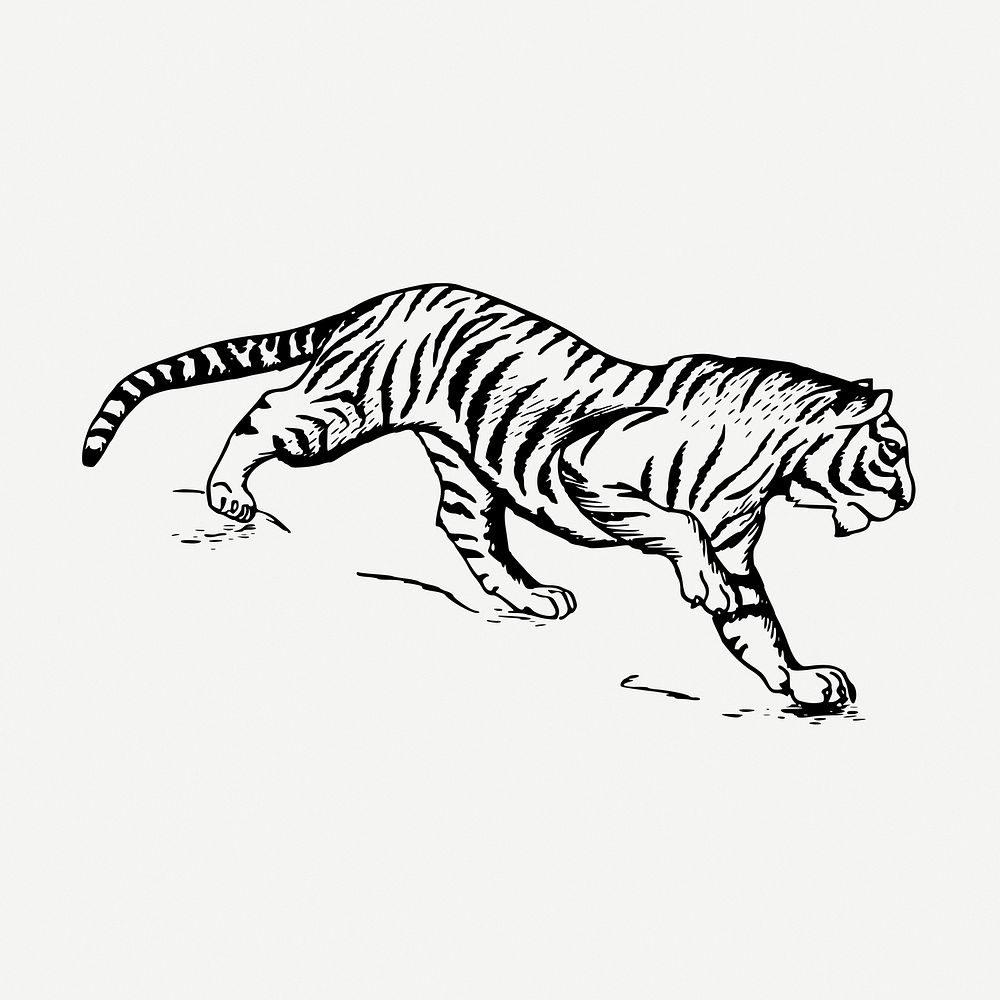 Vintage tiger, wild animal clipart psd. Free public domain CC0 graphic