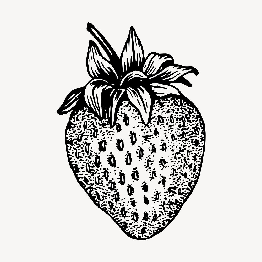 Hand drawn strawberry, vintage clipart vector. Free public domain CC0 graphic