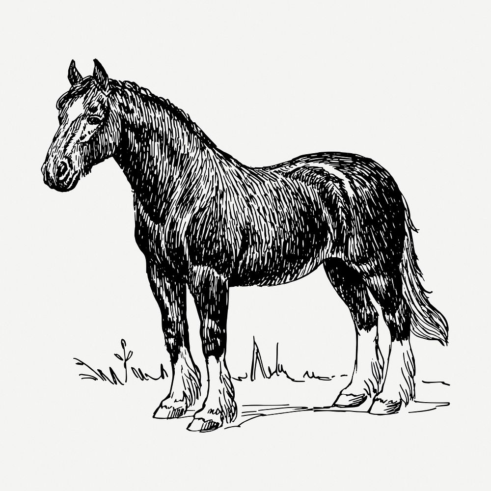 Vintage horse, animal illustration psd. Free public domain CC0 graphic