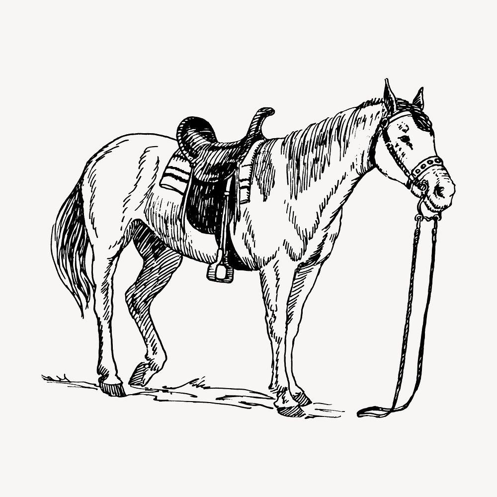 Saddled horse, animal clipart vector. Free public domain CC0 graphic
