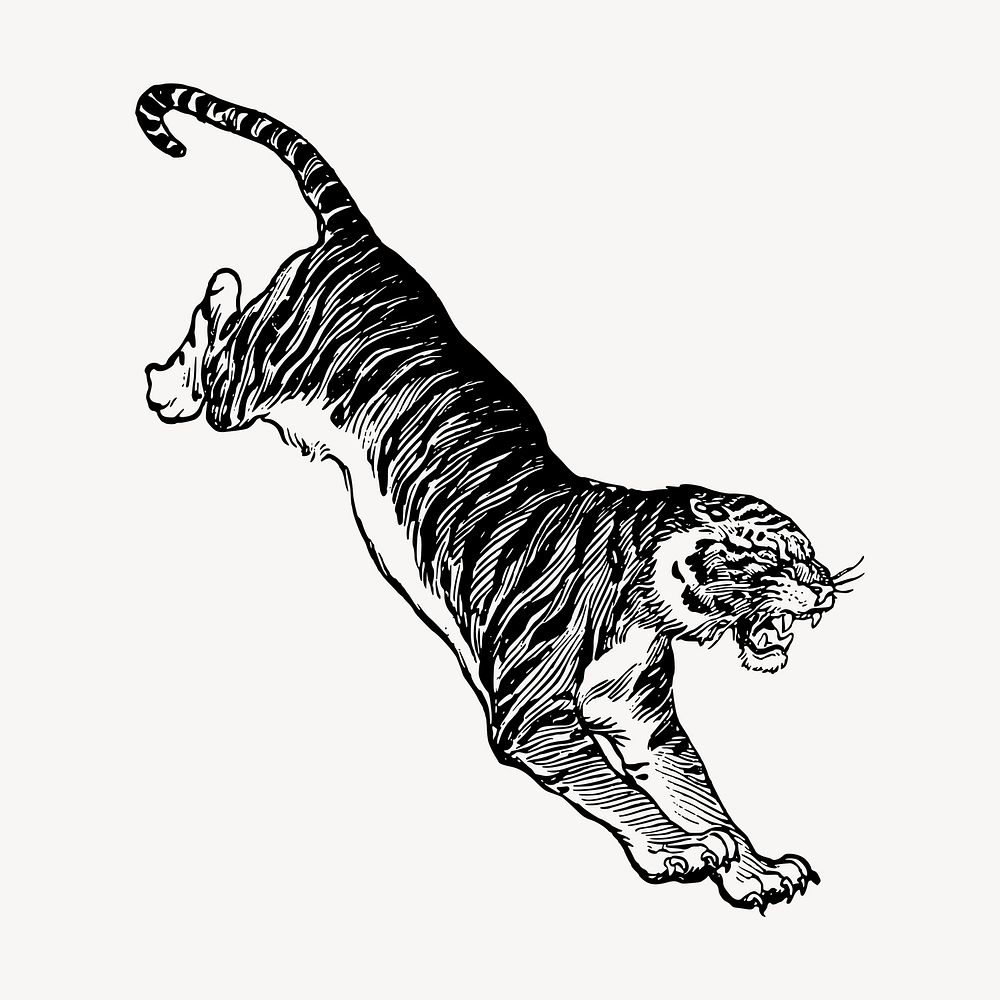 Jumping tiger, animal illustration vector. Free public domain CC0 graphic