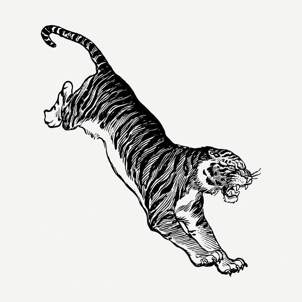 BW jumping tiger, wildlife clipart psd. Free public domain CC0 graphic