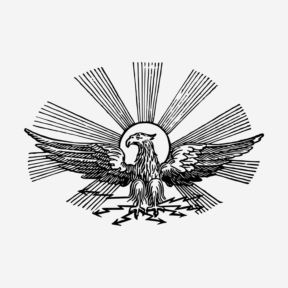 Eagle, animal illustration. Free public domain CC0 graphic