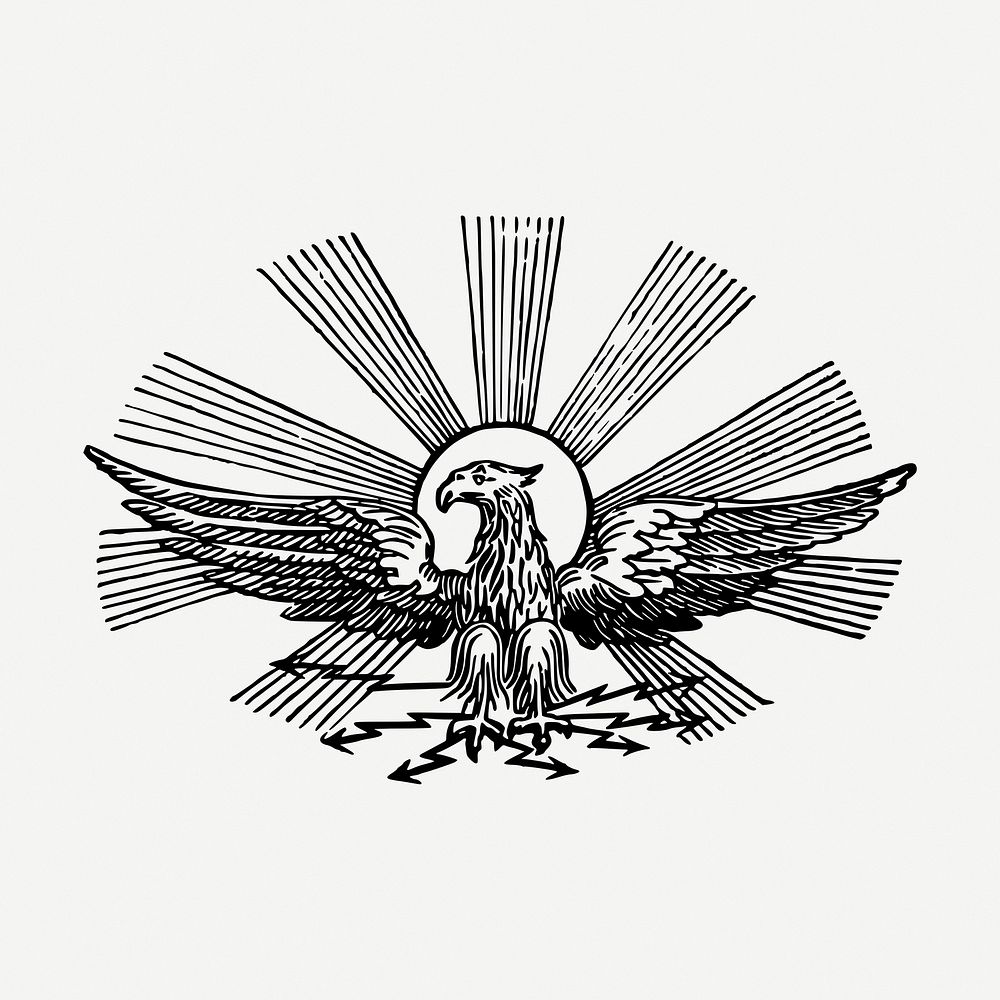 Eagle, animal clipart psd. Free public domain CC0 graphic