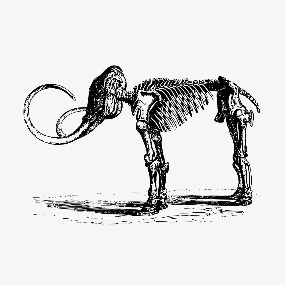 Mammoth fossil clipart, extinct animal vector. Free public domain CC0 graphic