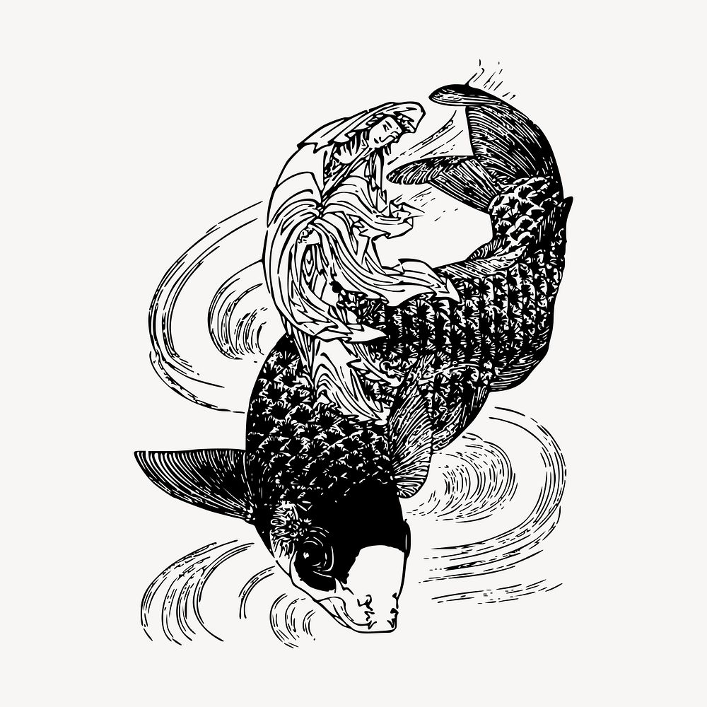 Vintage carp fish, animal illustration vector. Free public domain CC0 graphic