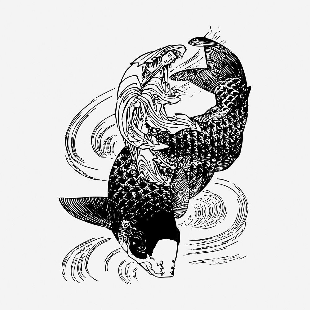 Koi fish, animal illustration. Free public domain CC0 graphic