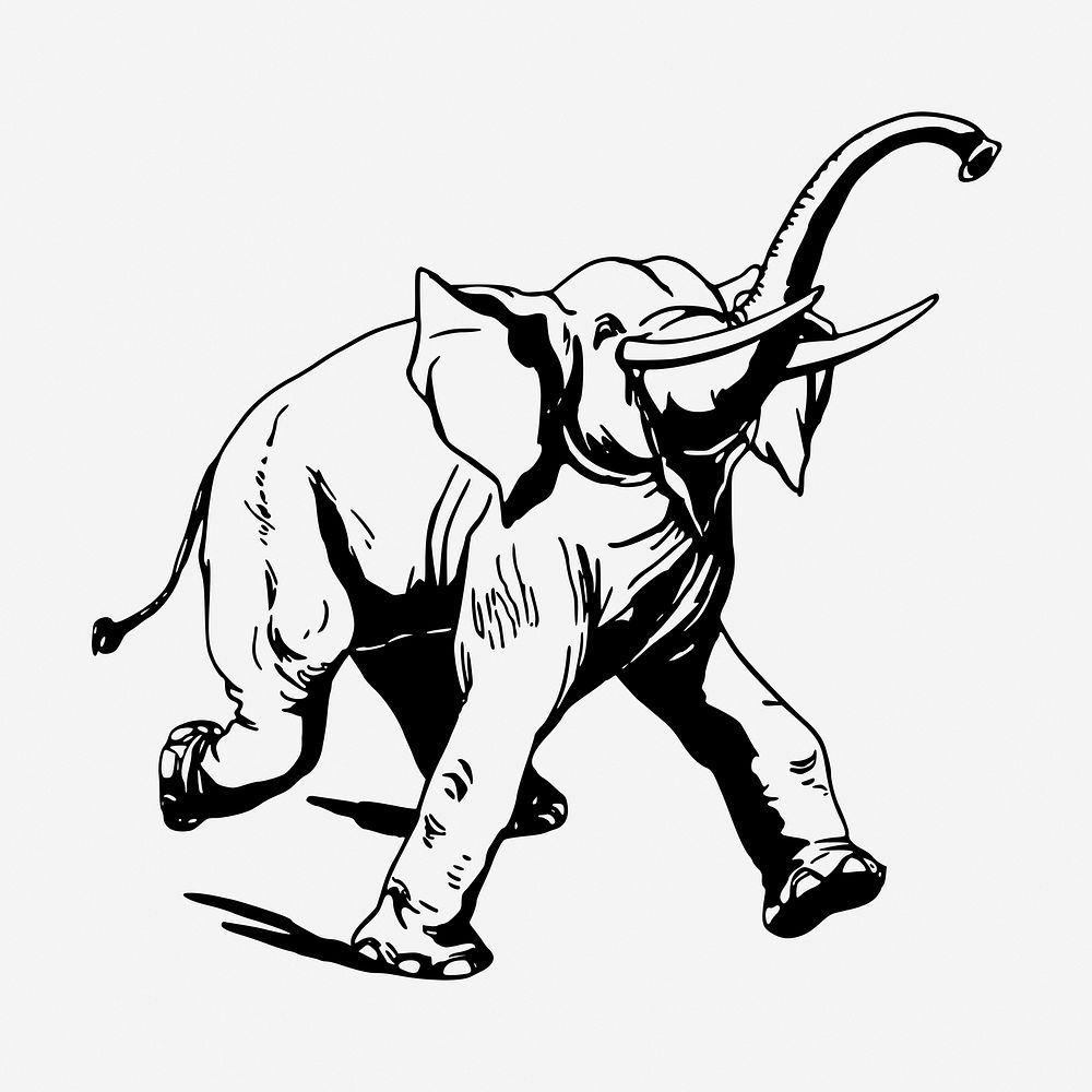 Vintage elephant, wild animal illustration. Free public domain CC0 graphic