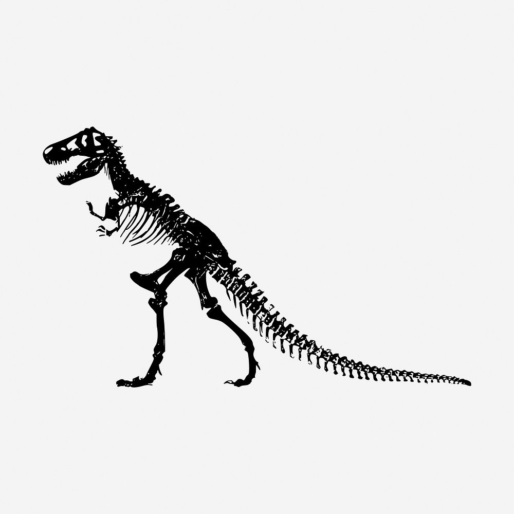 Dinosaur fossil, vintage animal illustration. Free public domain CC0 graphic