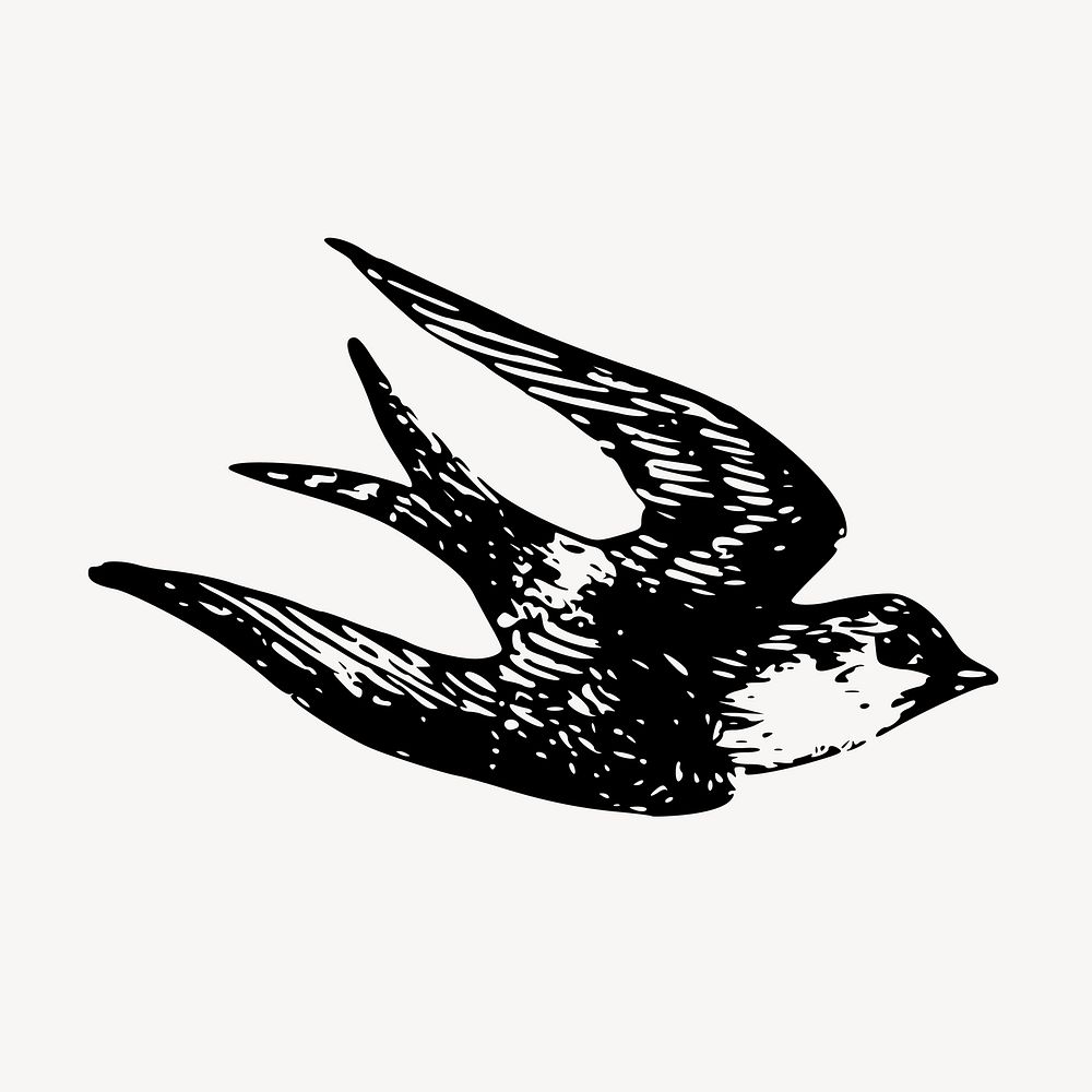 Swallow bird, animal illustration vector. Free public domain CC0 graphic