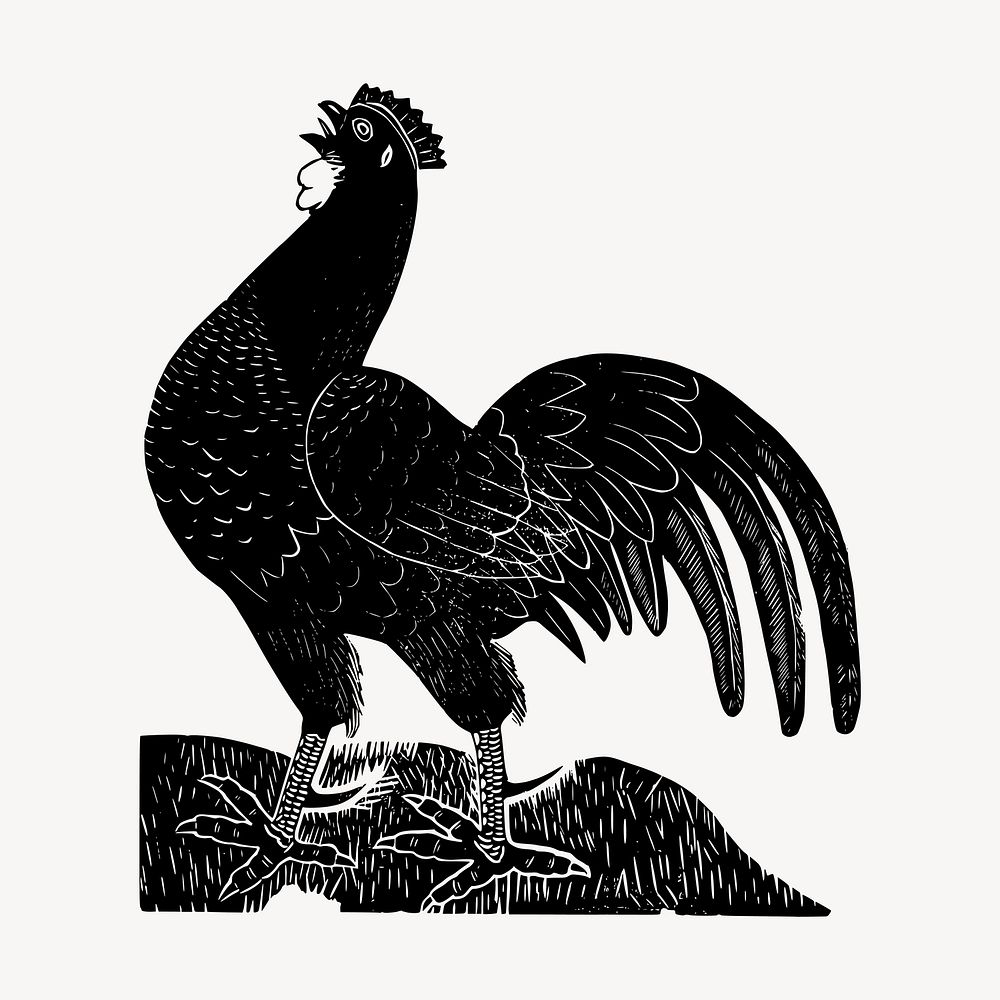 Rooster, animal illustration vector. Free public domain CC0 graphic