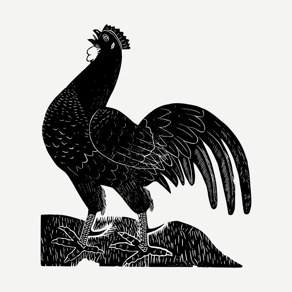 Rooster, animal clipart psd. Free public domain CC0 graphic