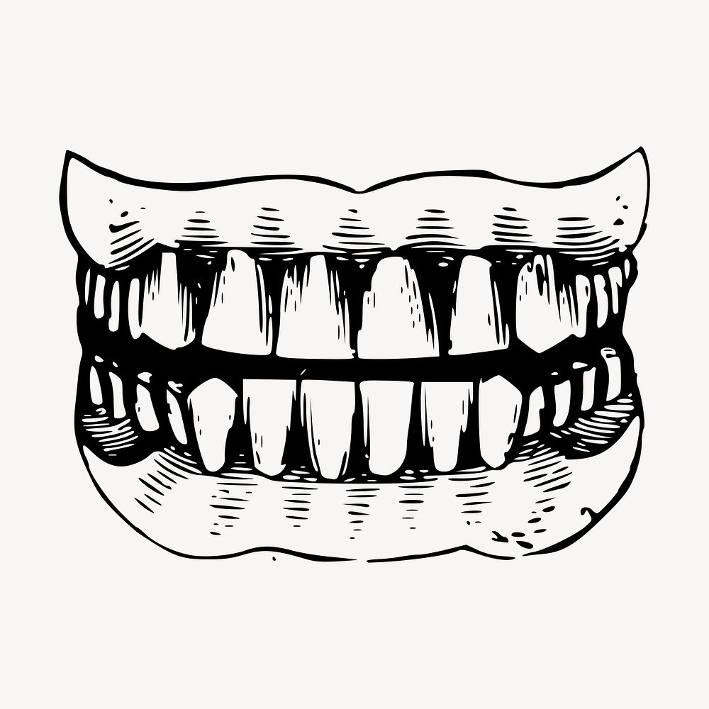 Human teeth clipart, healthy dental vector. Free public domain CC0 graphic