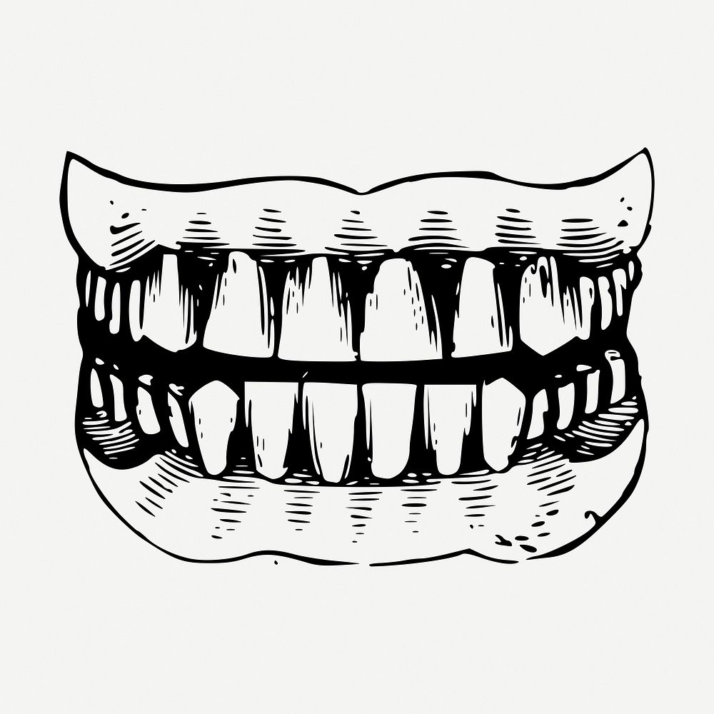 Human teeth, healthy dental illustration psd. Free public domain CC0 graphic