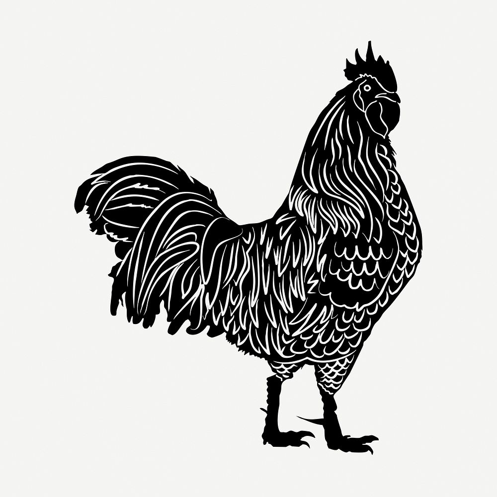 Rooster, farm animal collage element, vintage illustration psd. Free public domain CC0 image.