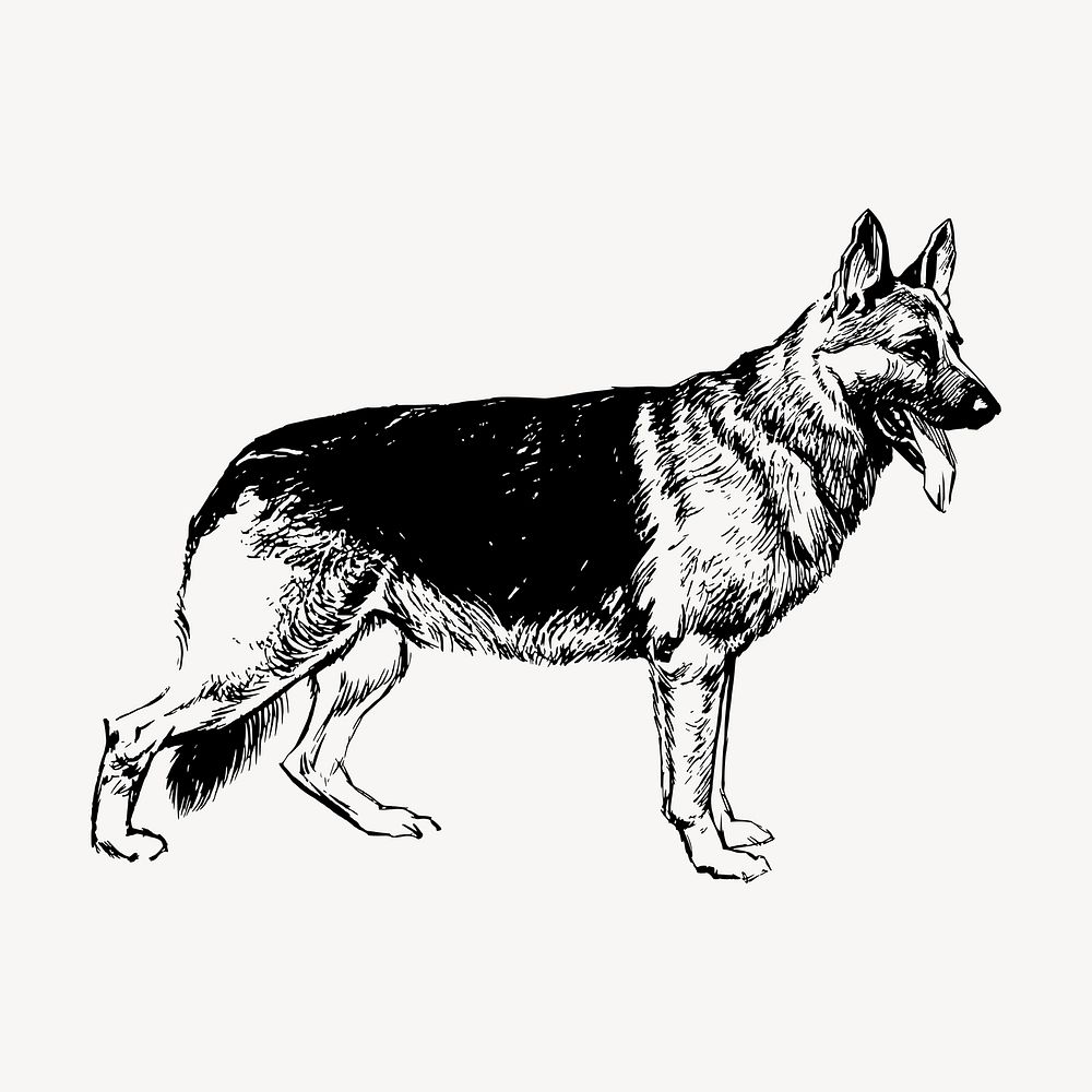 German Shepherd, Dog drawing, Inspirational quote, Be silly, be honest -  Wayrumble