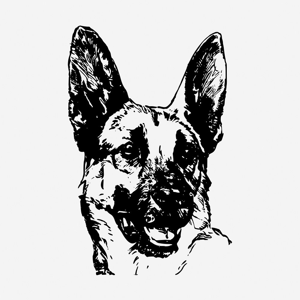 German Shepherd dog hand drawn illustration. Free public domain CC0 image.