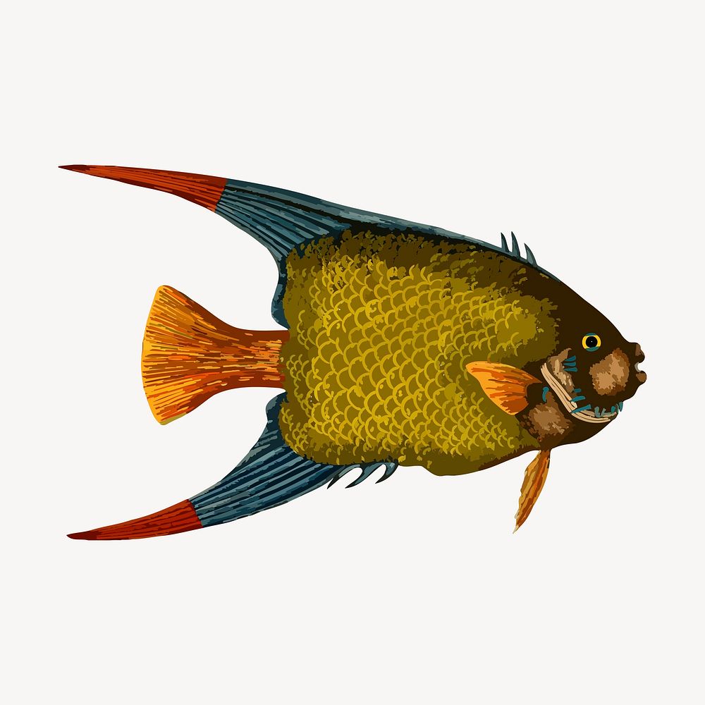 Green fish clipart, vintage illustration vector. Free public domain CC0 image.