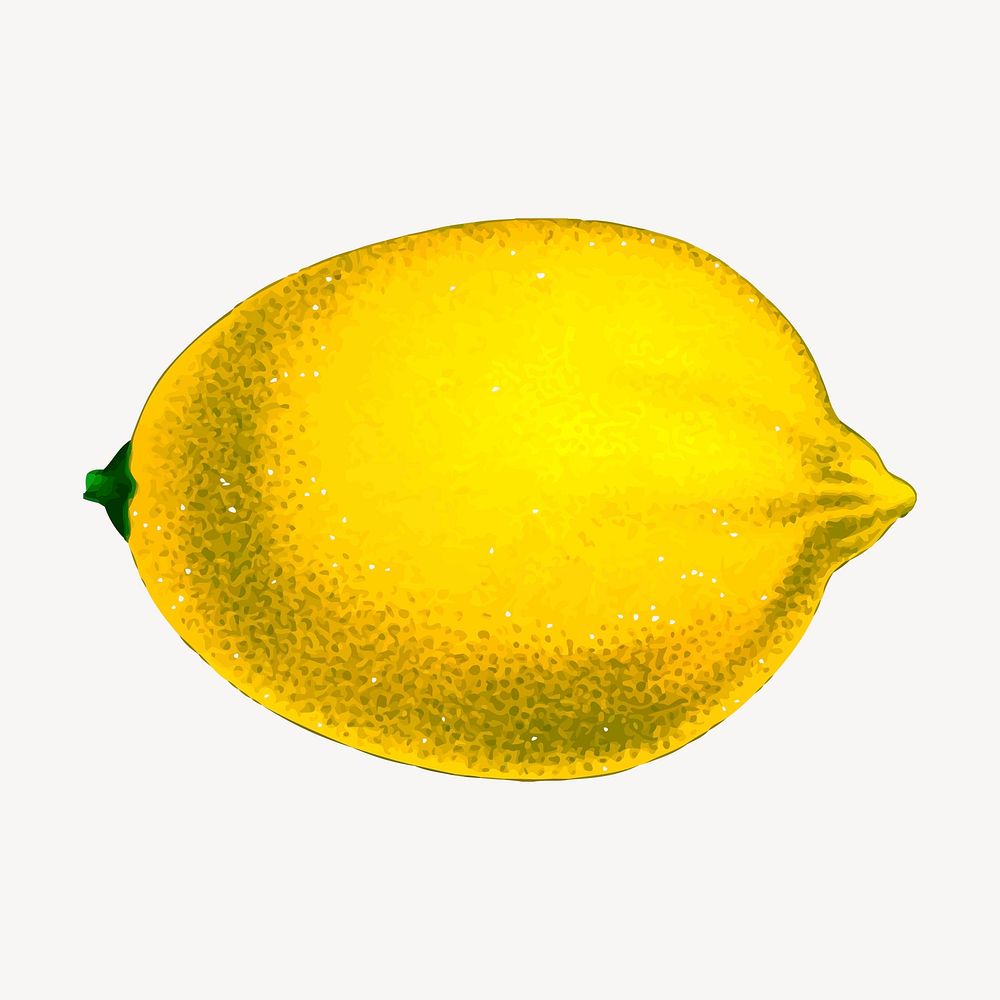 Lemon fruit clipart, vintage illustration vector. Free public domain CC0 image.