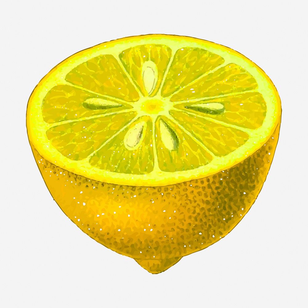 Lemon fruit hand drawn illustration. Free public domain CC0 image.