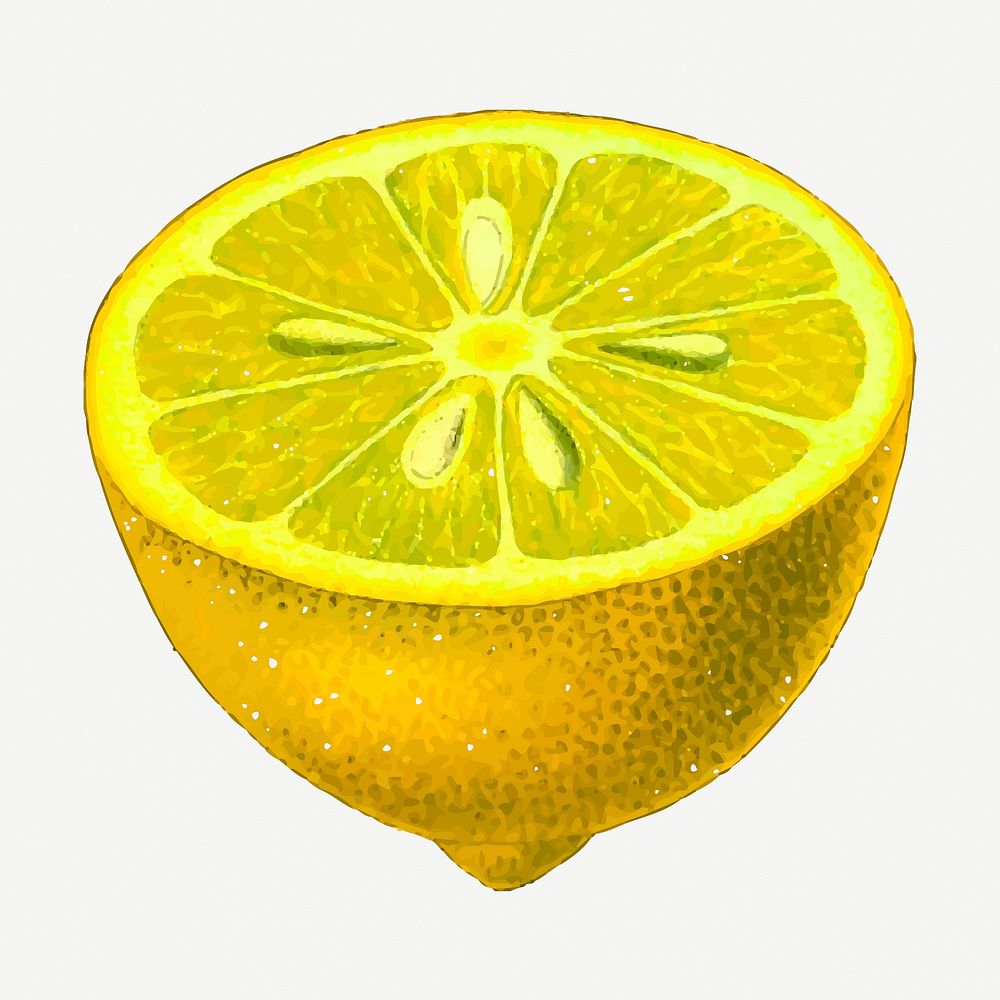Lemon fruit collage element, vintage illustration psd. Free public domain CC0 image.