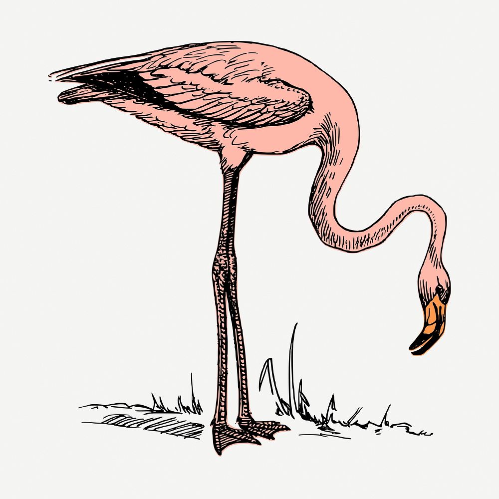 Pink flamingo collage element, vintage illustration psd. Free public domain CC0 image.