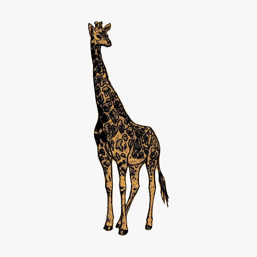 Giraffe, wild animal clipart, vintage illustration vector. Free public domain CC0 image.