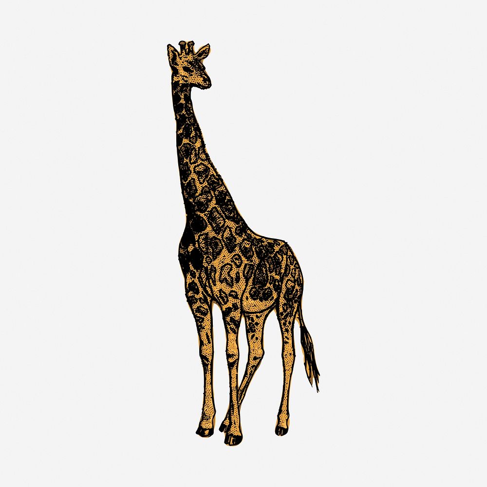 Giraffe, wild animal hand drawn illustration. Free public domain CC0 image.